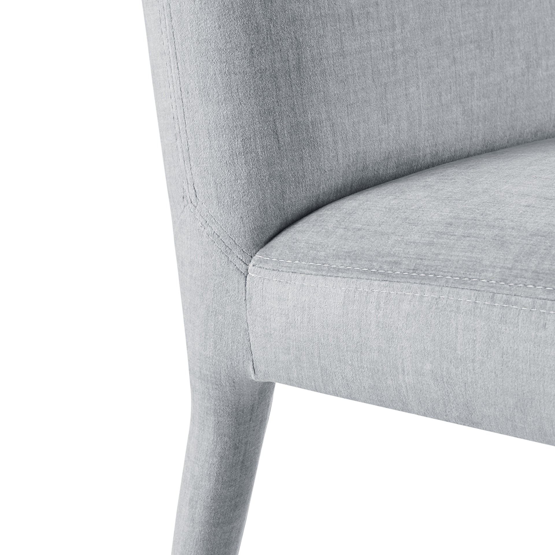 Alder Velvet Dining Side Chair (Set of 2) - What A Room
