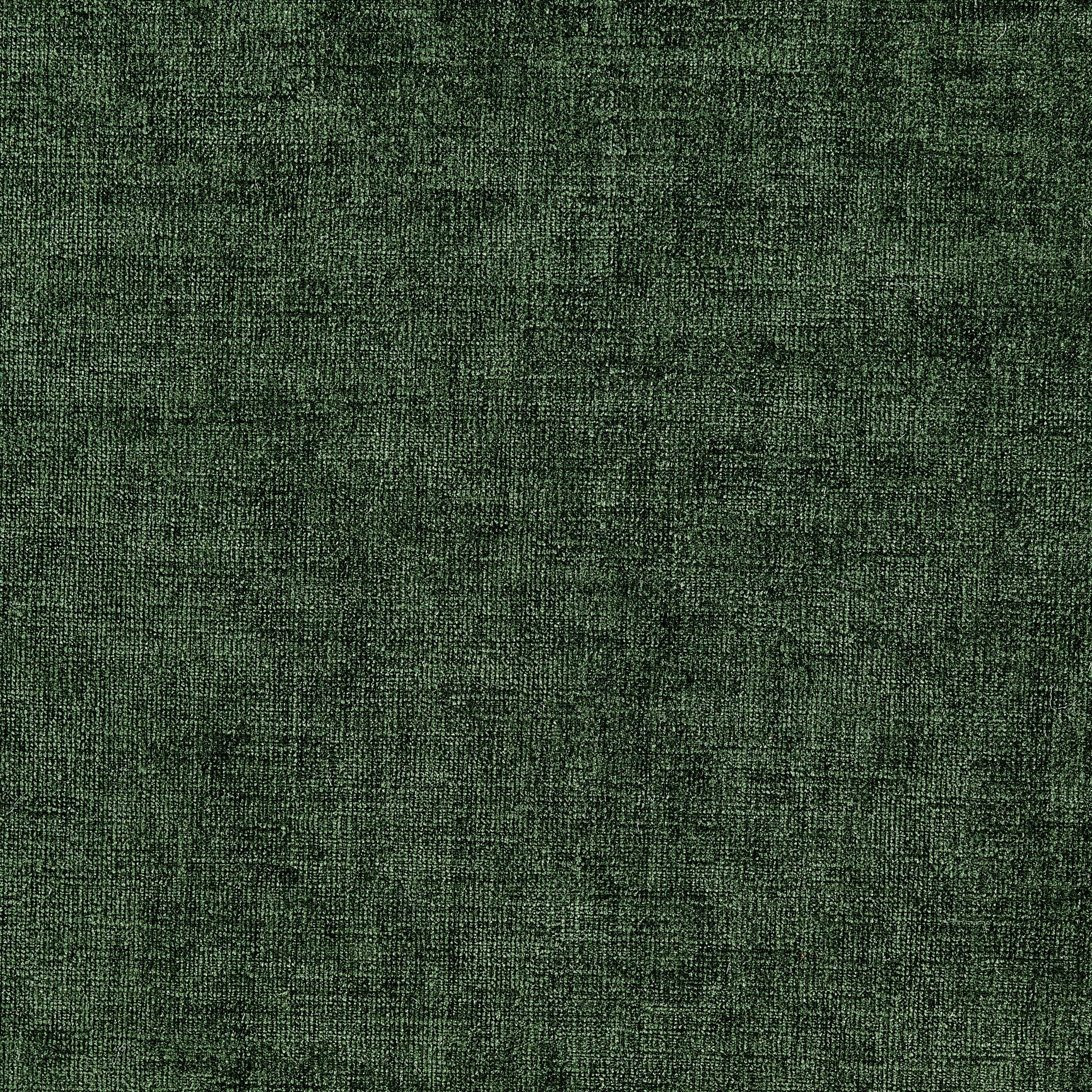 Ayleen Chenille Storage Bench - What A Room