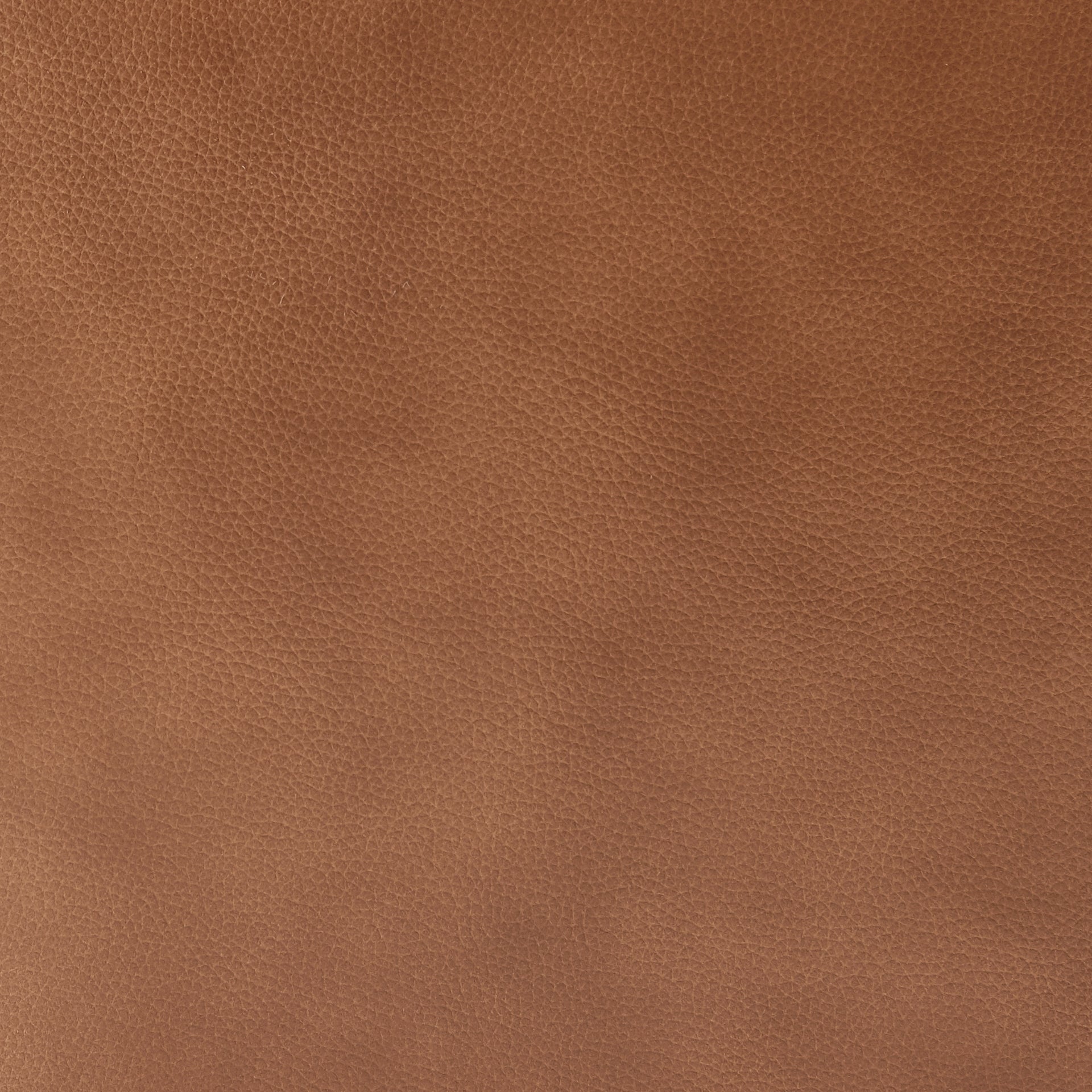 Tiffany Top Grain Leather Accent Arm Chair - What A Room