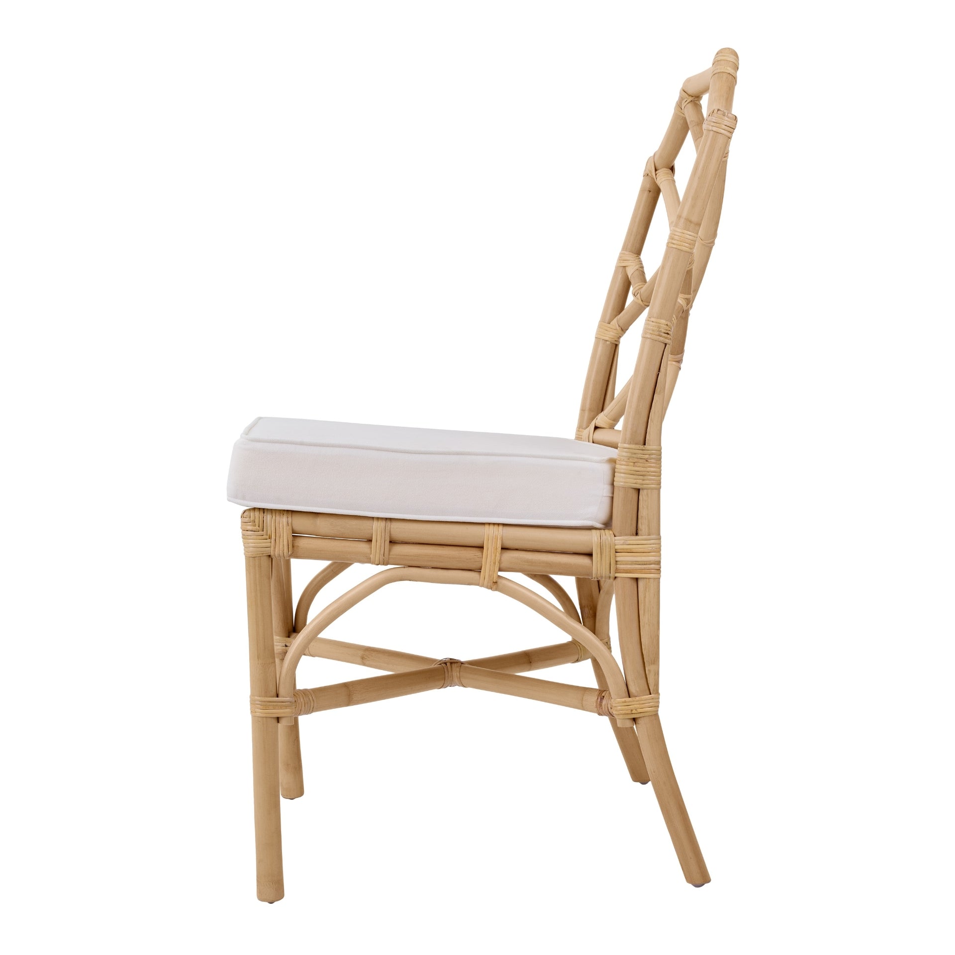 Kara Rattan Dining Side Chair (Set of 2) - What A Room