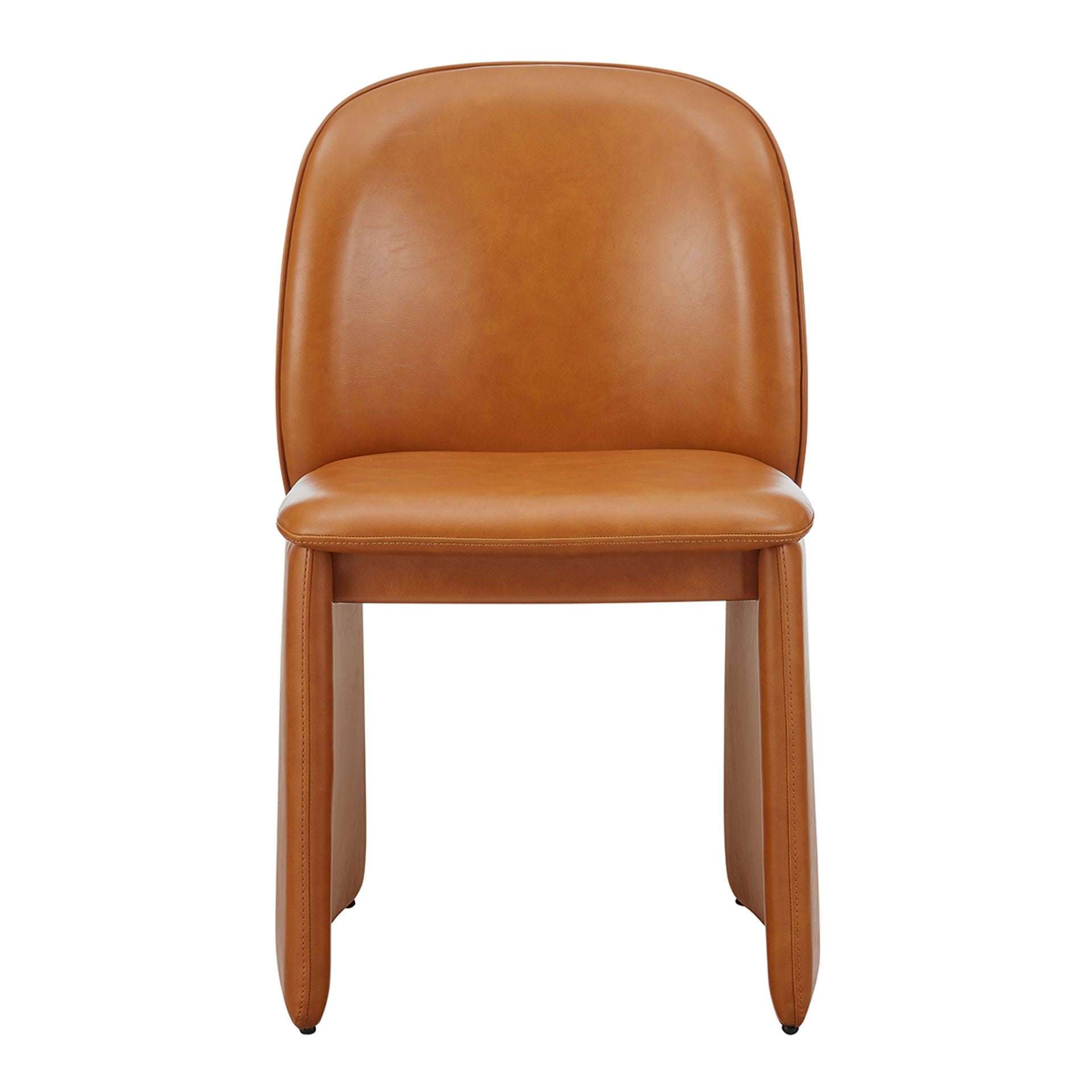 Shelby Dining Side Chair (Set of 2) - What A Room