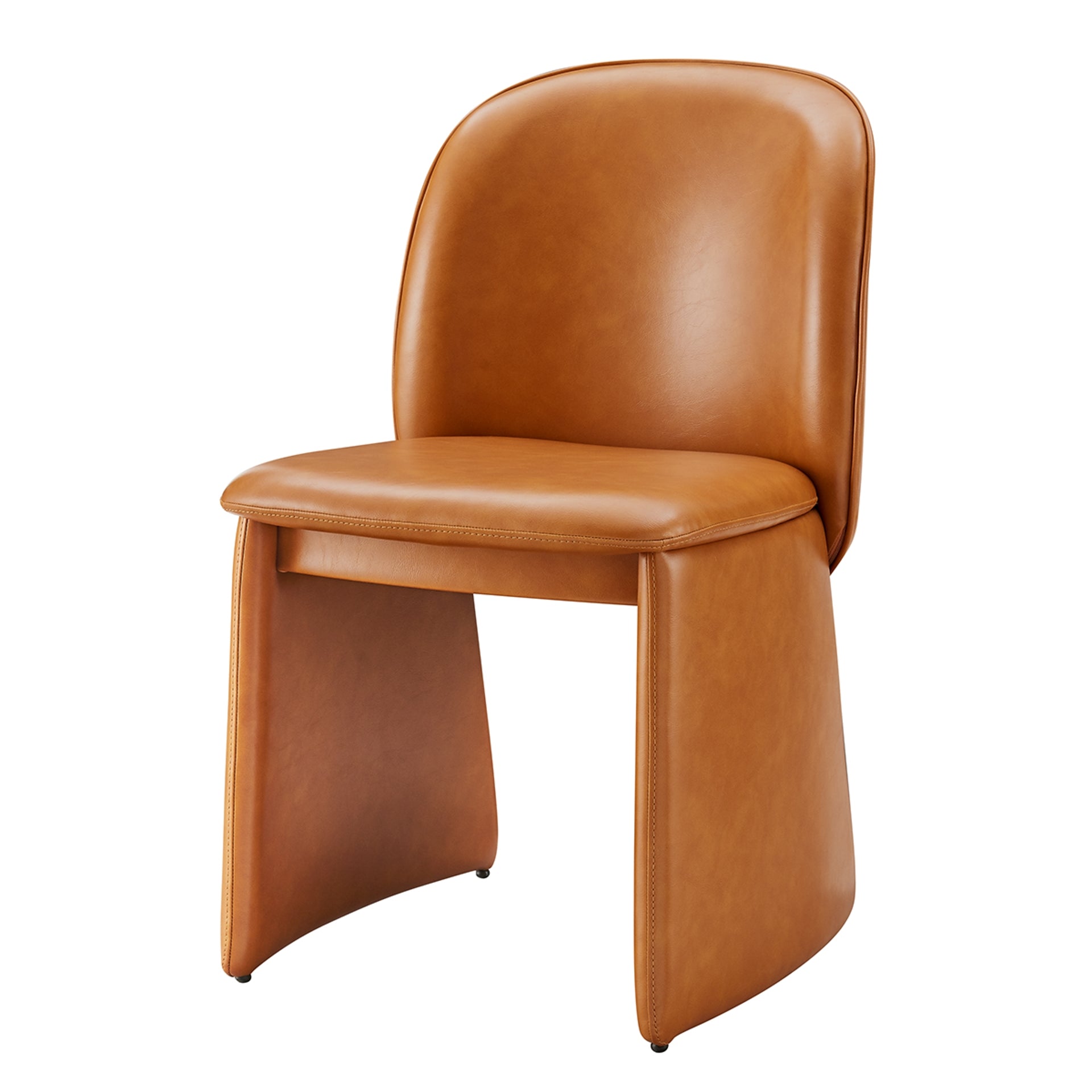 Shelby Dining Side Chair (Set of 2) - What A Room