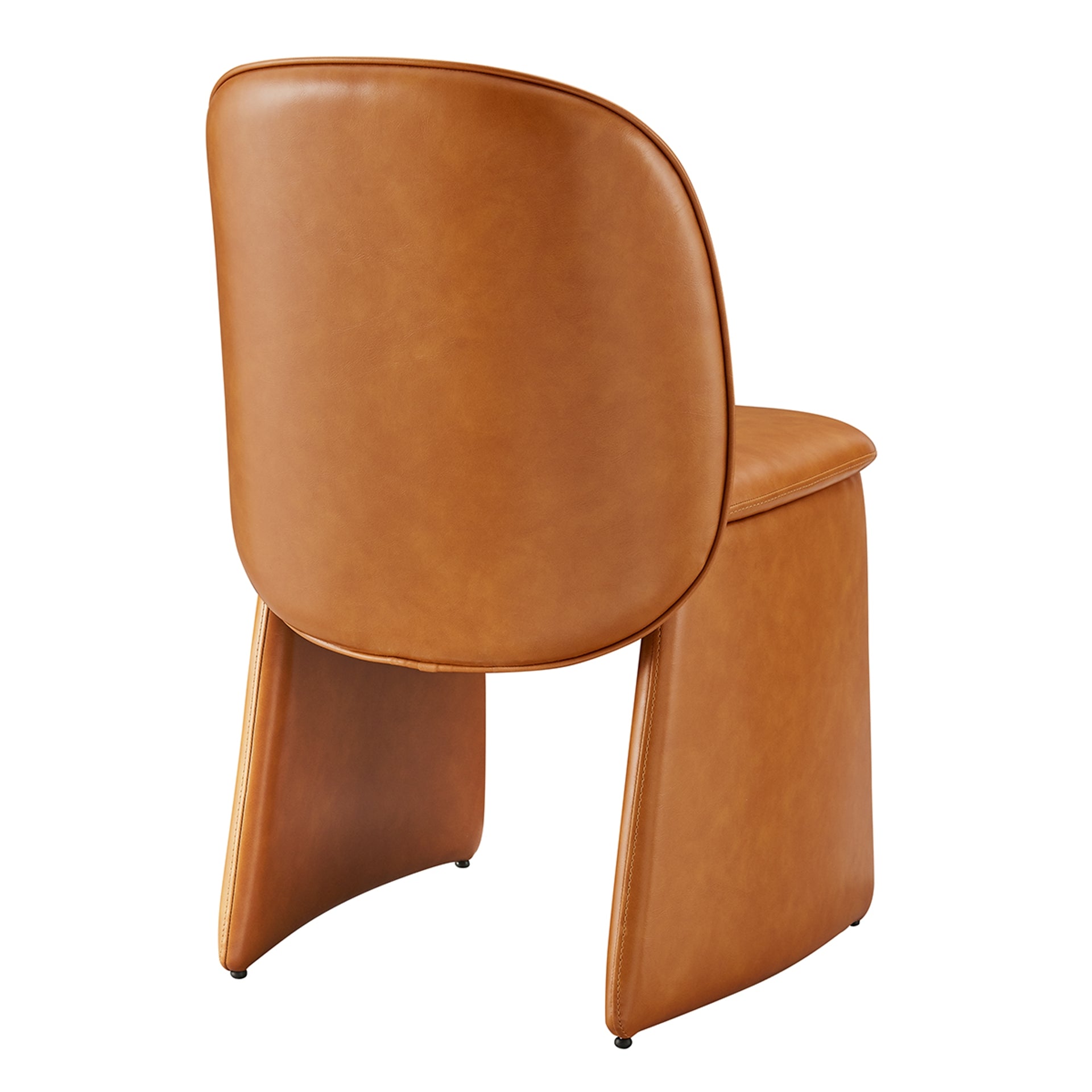 Shelby Dining Side Chair (Set of 2) - What A Room