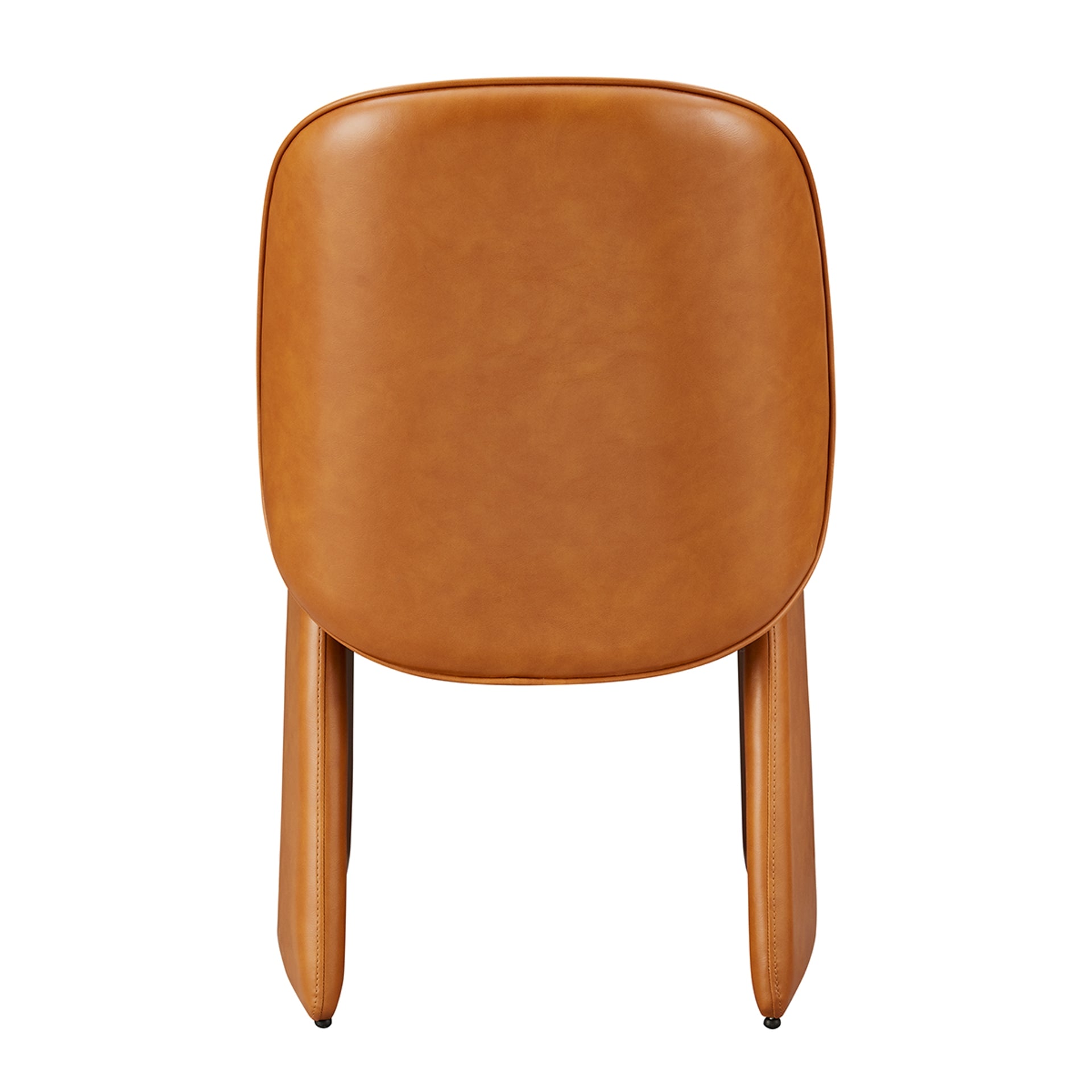 Shelby Dining Side Chair (Set of 2) - What A Room