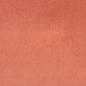Marquise Rose - What A Room