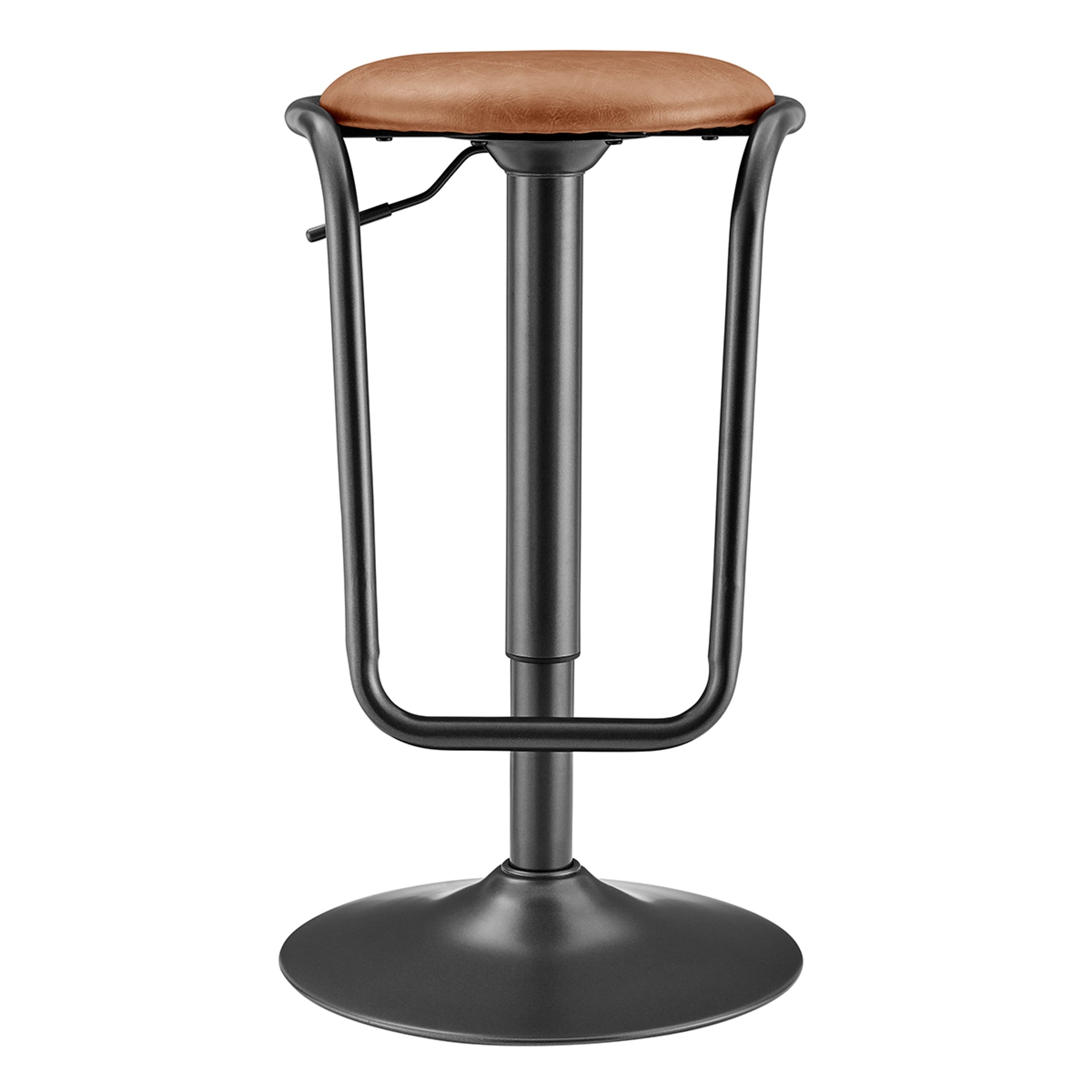 Elijah Gaslift Swivel Bar Stool (Set of 2) - What A Room