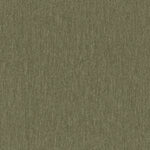 Amici Fern - What A Room