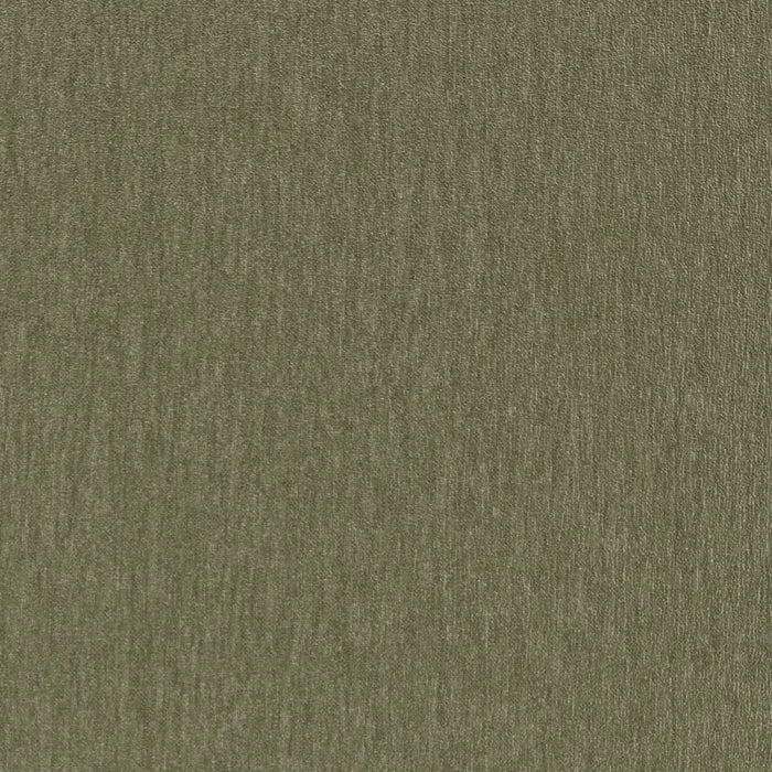 Amici Fern - What A Room
