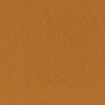 Amici Amber - What A Room