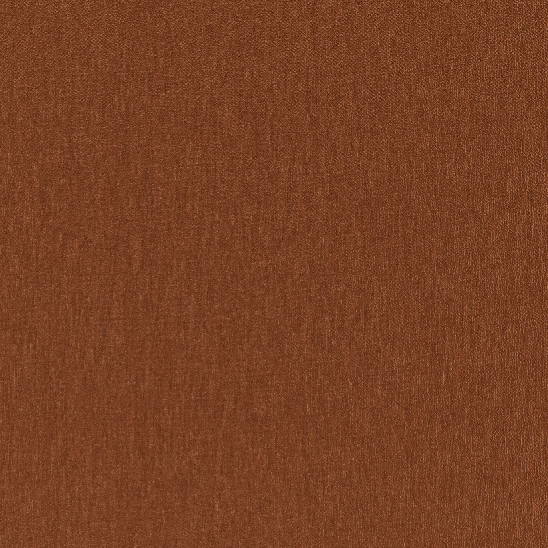 Amici Ginger - What A Room