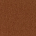 Amici Ginger - What A Room