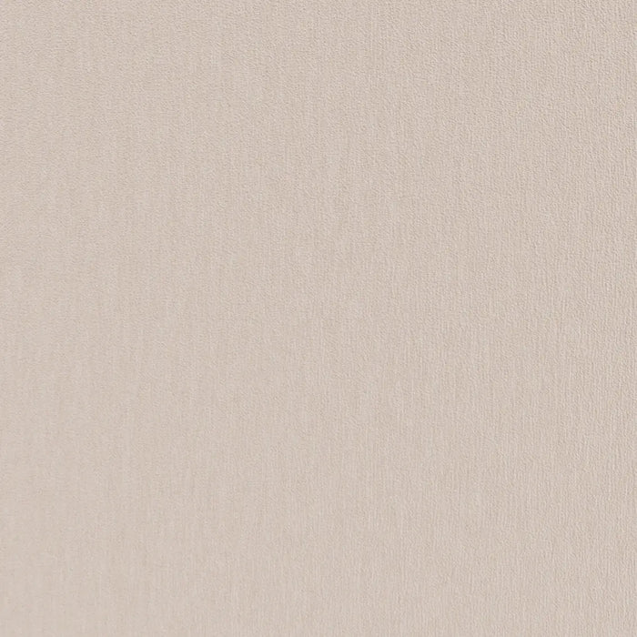 Amici Ivory - What A Room