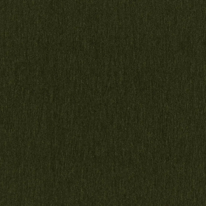Amici Moss - What A Room