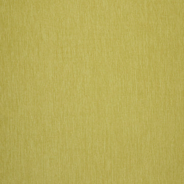 Amici Pear - What A Room