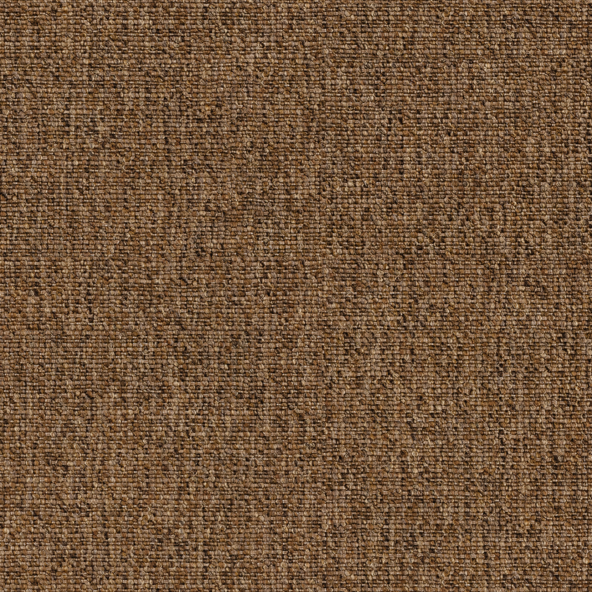 Amazon Nougat - What A Room