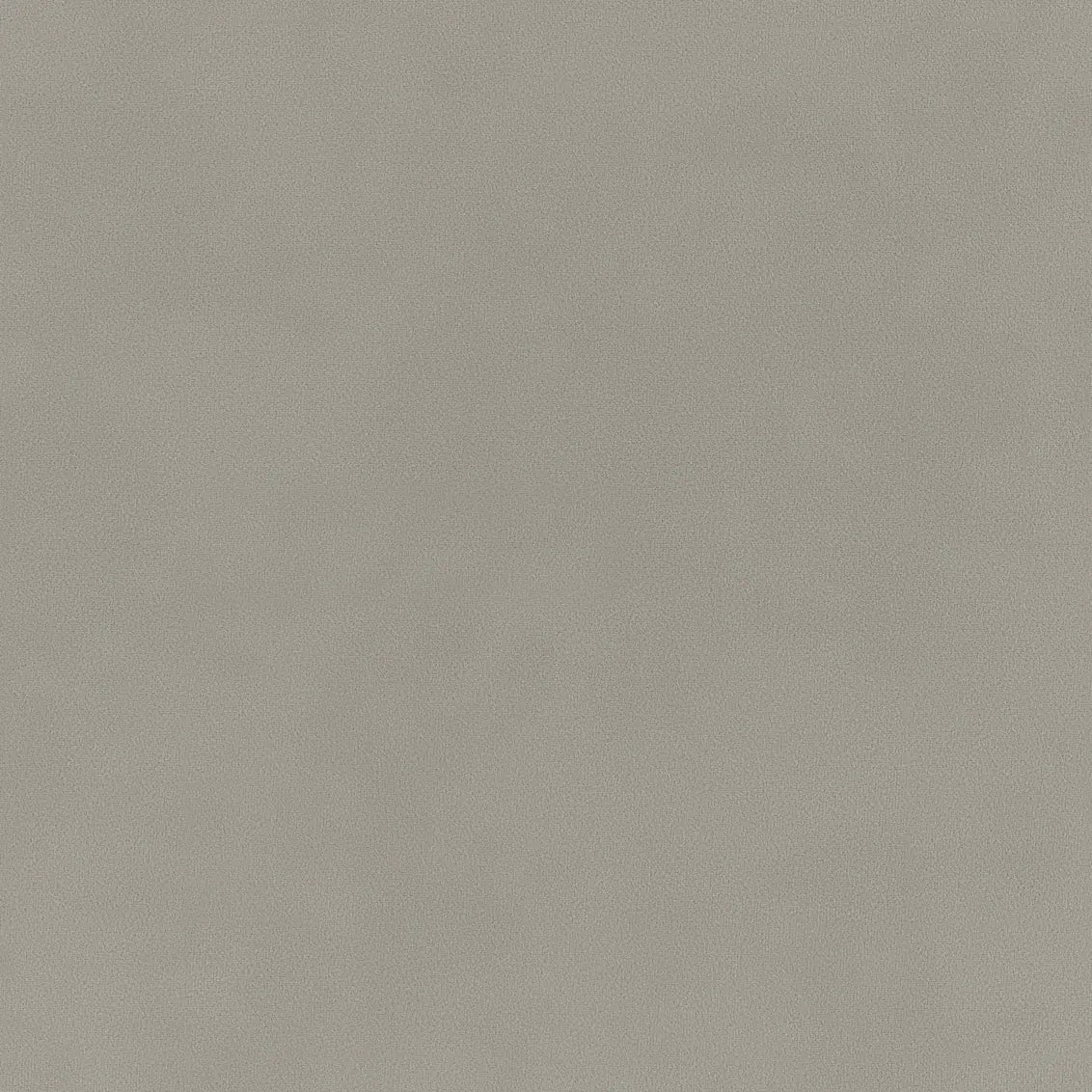 Bella Grey - What A Room
