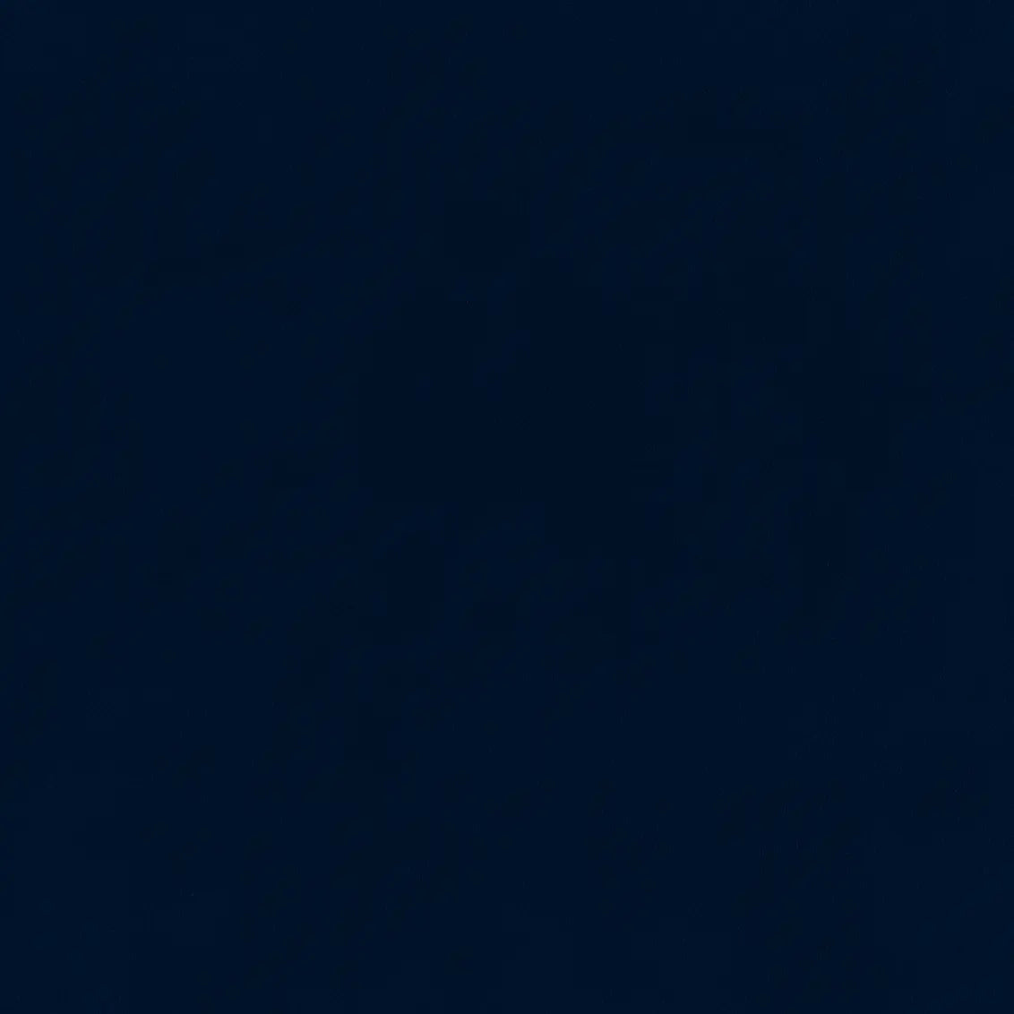 Bella Navy - What A Room