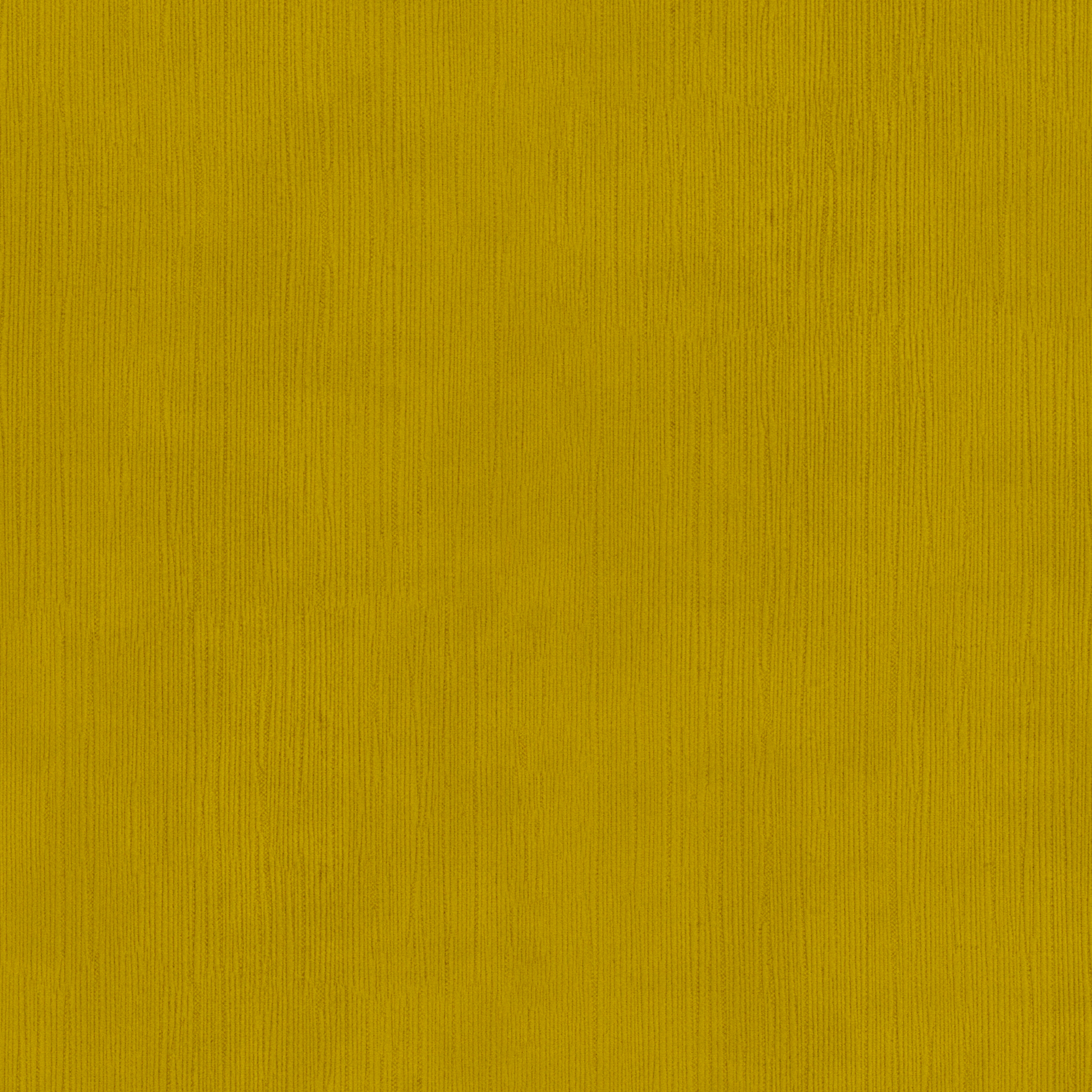 Empire III Curry - What A Room