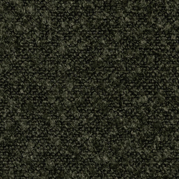 Indus Kelp