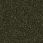 Indus Kelp