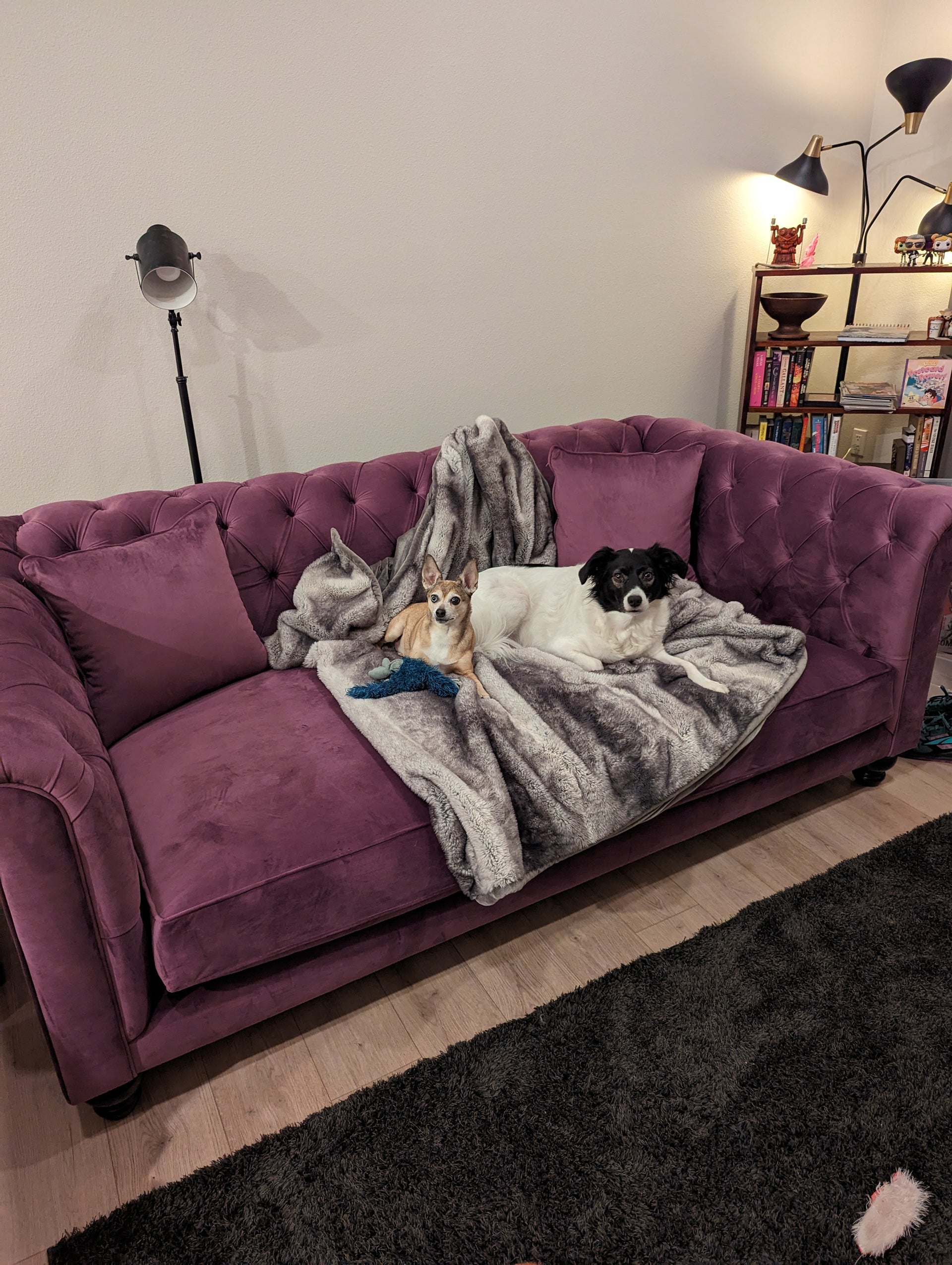 Theresa - Custom Sofa 98", 23/24" seating depth, 18" seat height, Bench Seat, Trillium, Fabric Bella Agave - What A Room