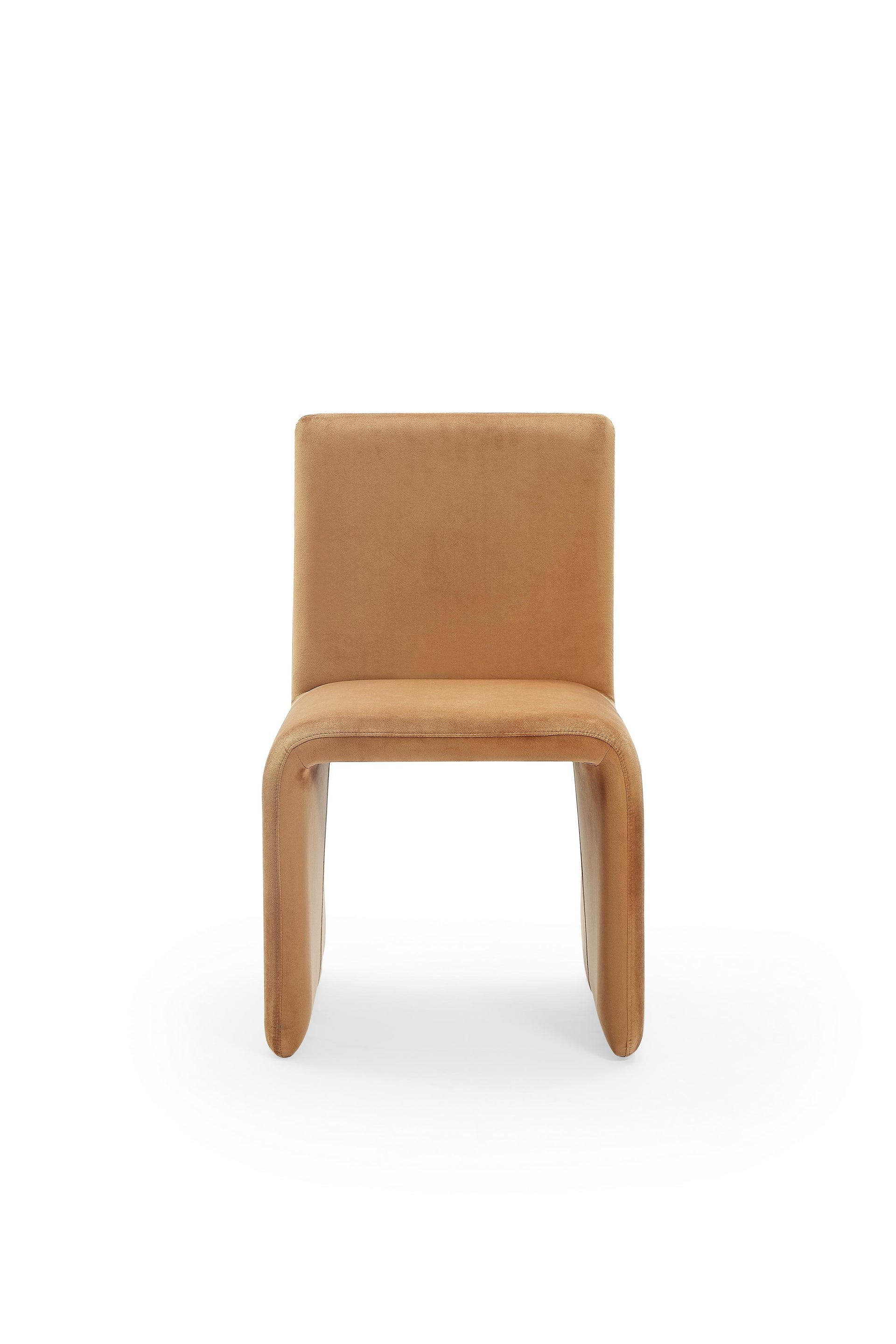 Winston Fully Upholstered Side chair in Whiskey Velvet (Set of 2) - What A Room
