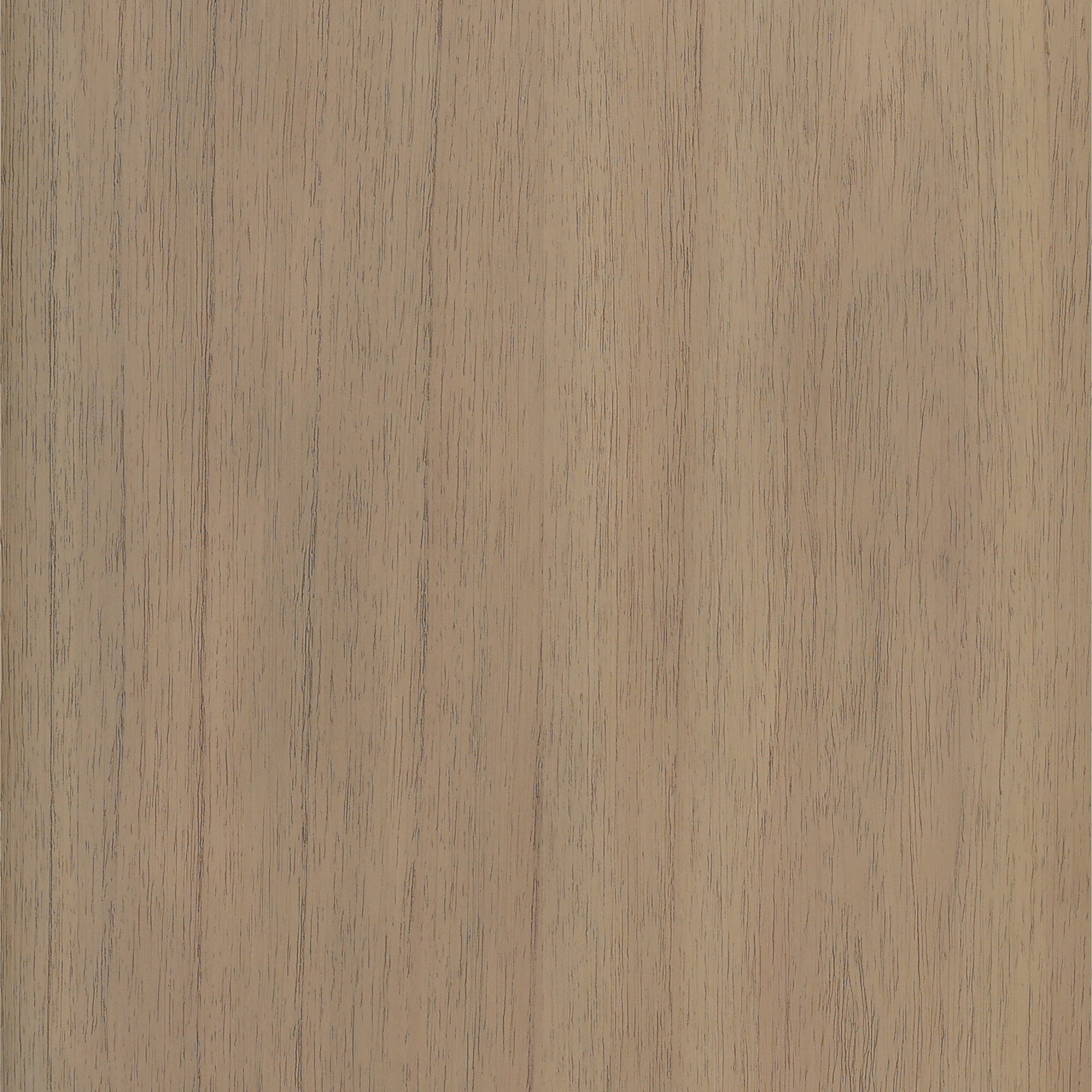 Freyja Cabinet - What A Room