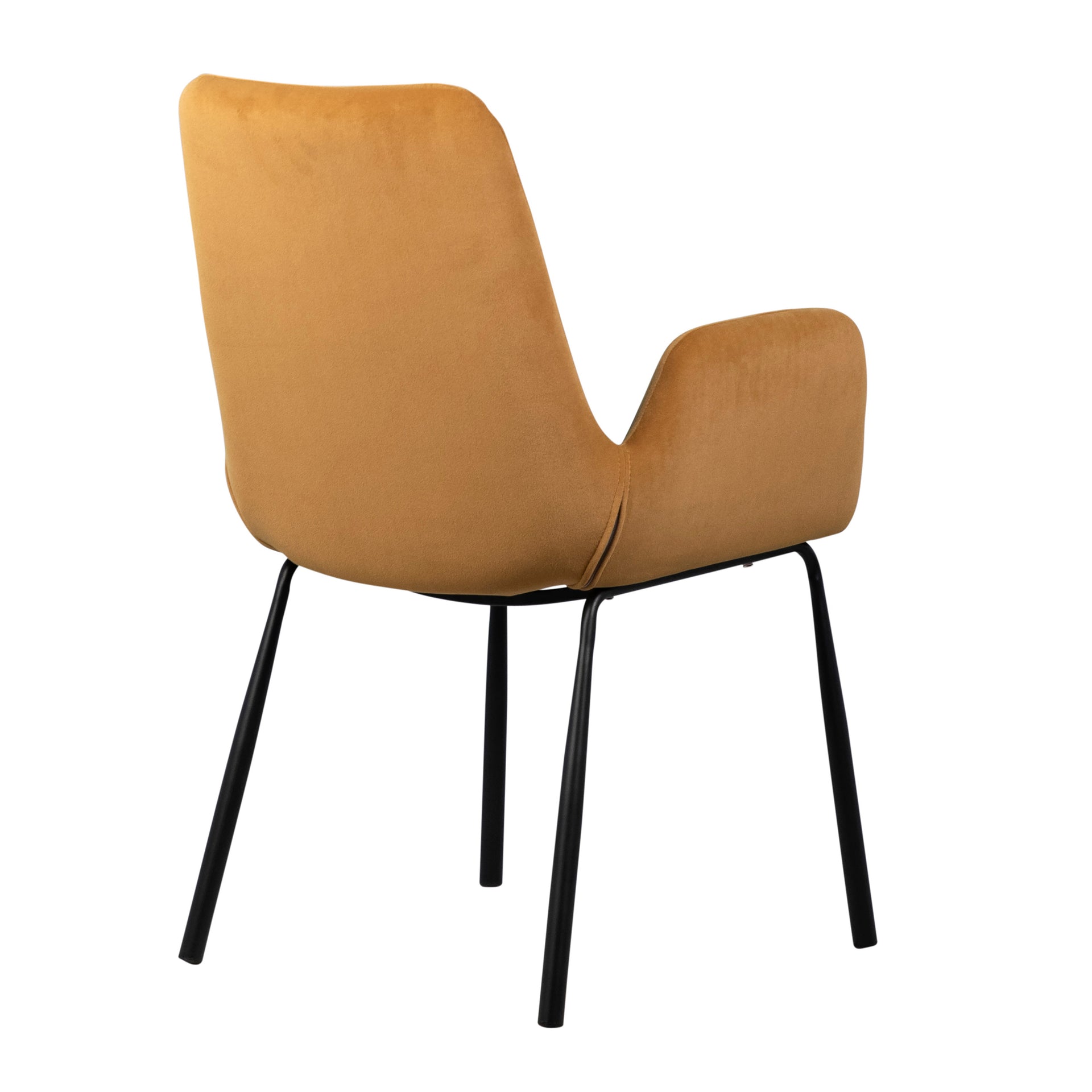 Venice Dining Chair - What A Room