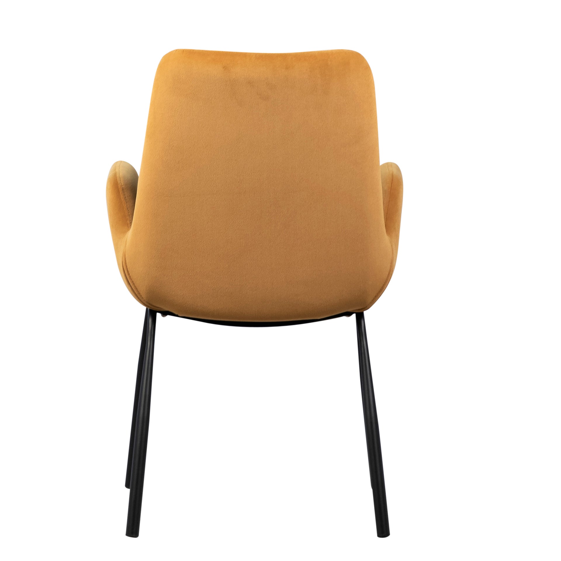 Venice Dining Chair - What A Room