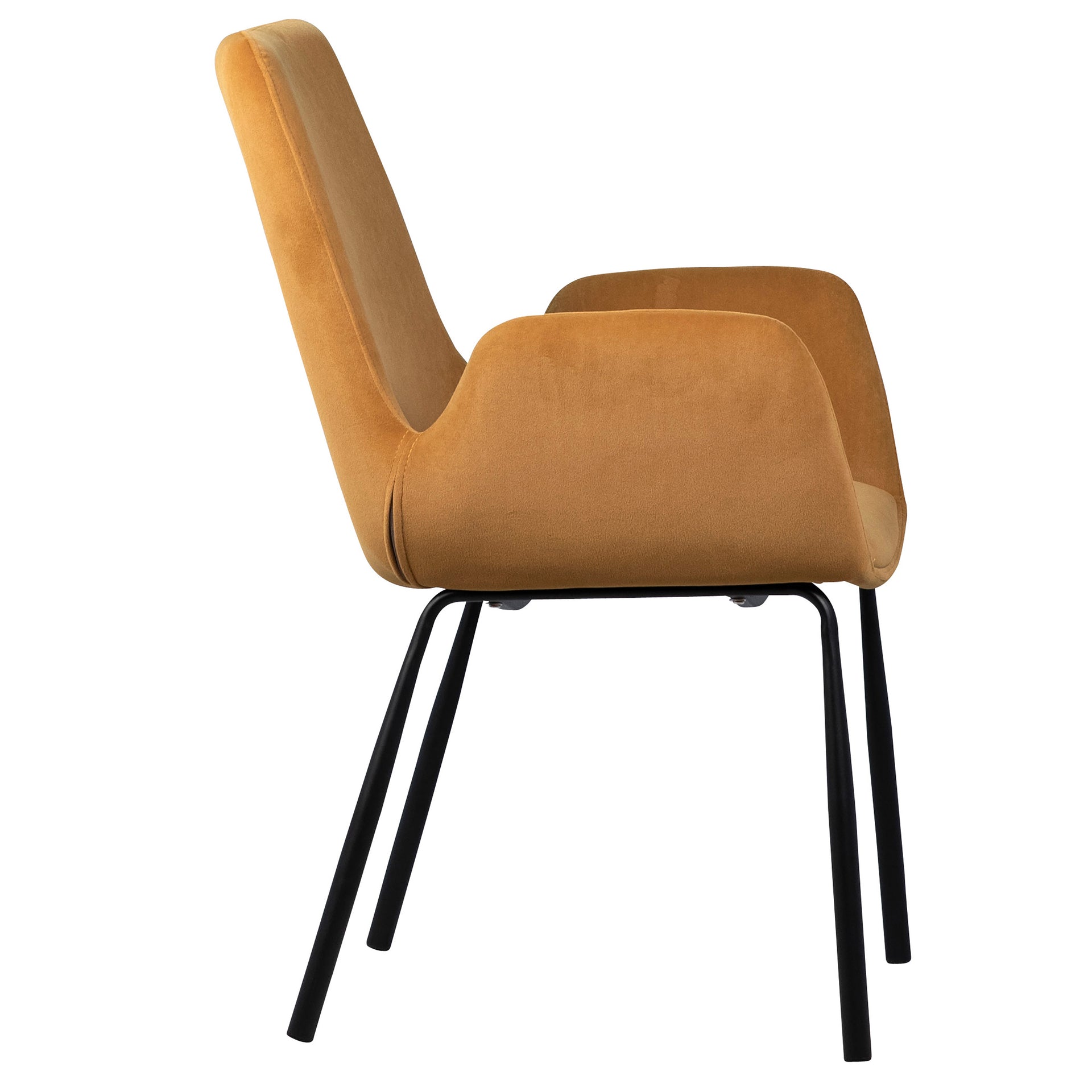 Venice Dining Chair - What A Room