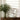 Susanna Vase - What A Room