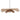 Nube Pendant Light - What A Room