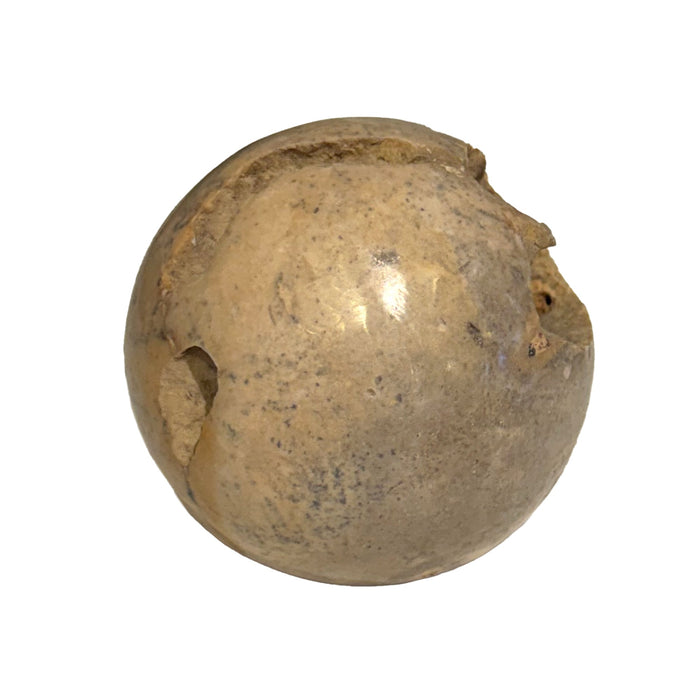 Navo Sculpture