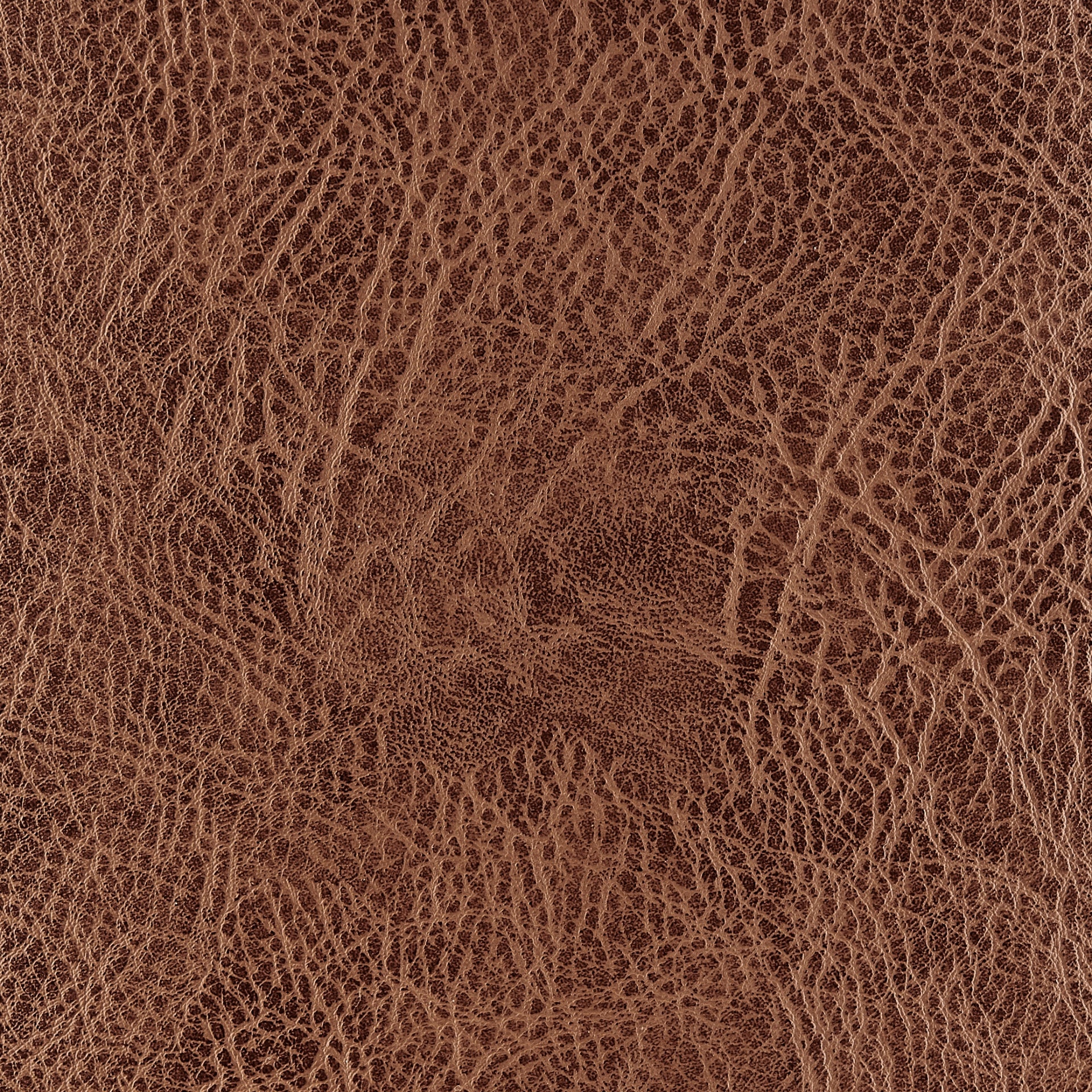 Robert   Gaslift Swivel Bar Stool - What A Room