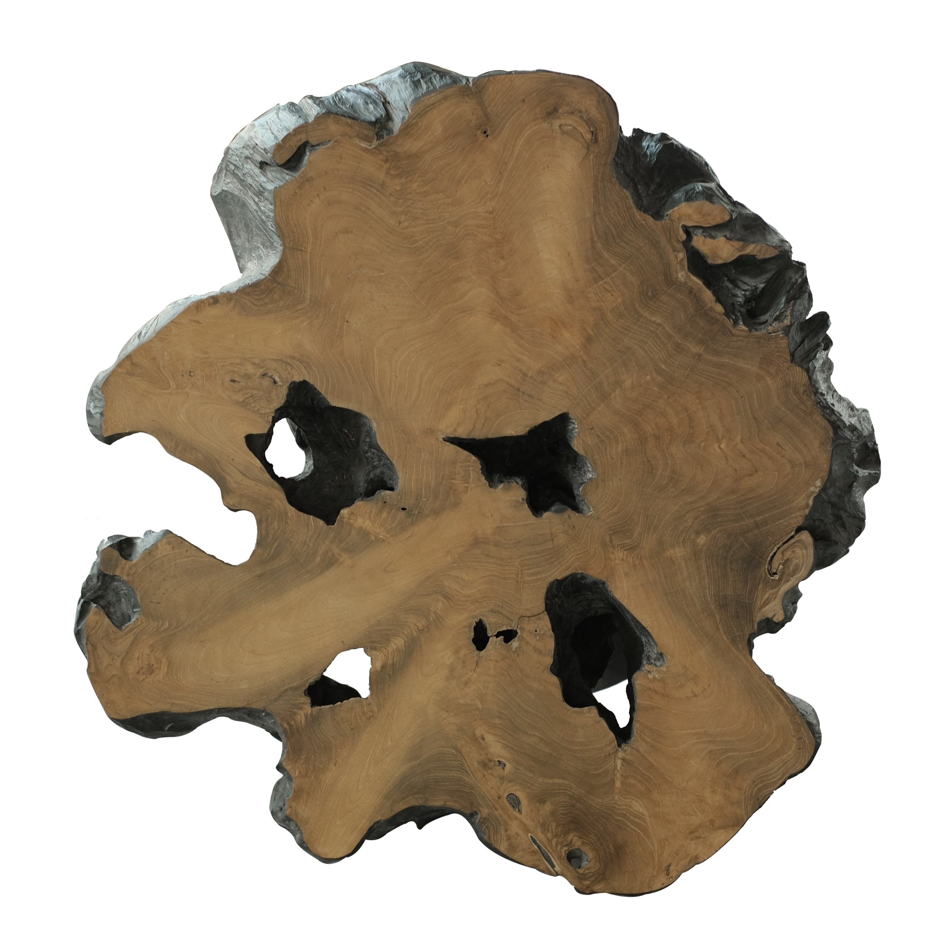 Lenna  31.5" Recycled Teak Root End/ Coffee Table - What A Room