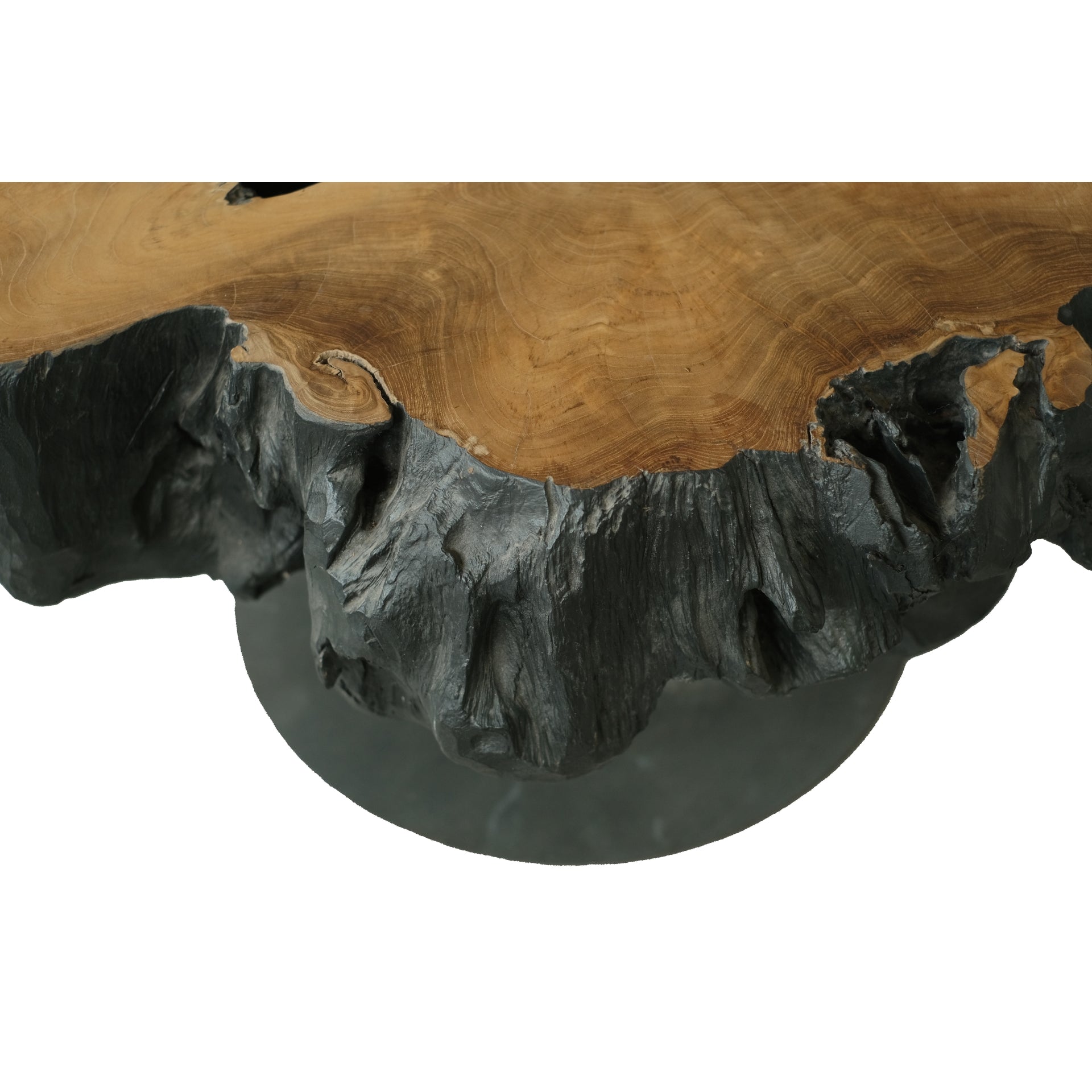 Lenna  31.5" Recycled Teak Root End/ Coffee Table - What A Room