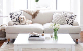 Choosing Pet-Friendly Sofa Fabrics & Materials