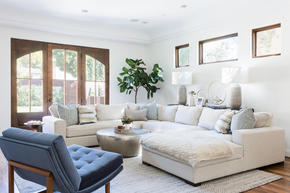 Choosing the Ideal Living Room Style and Functionality