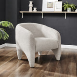 Carol Fabric Accent Arm Chair - What A Room