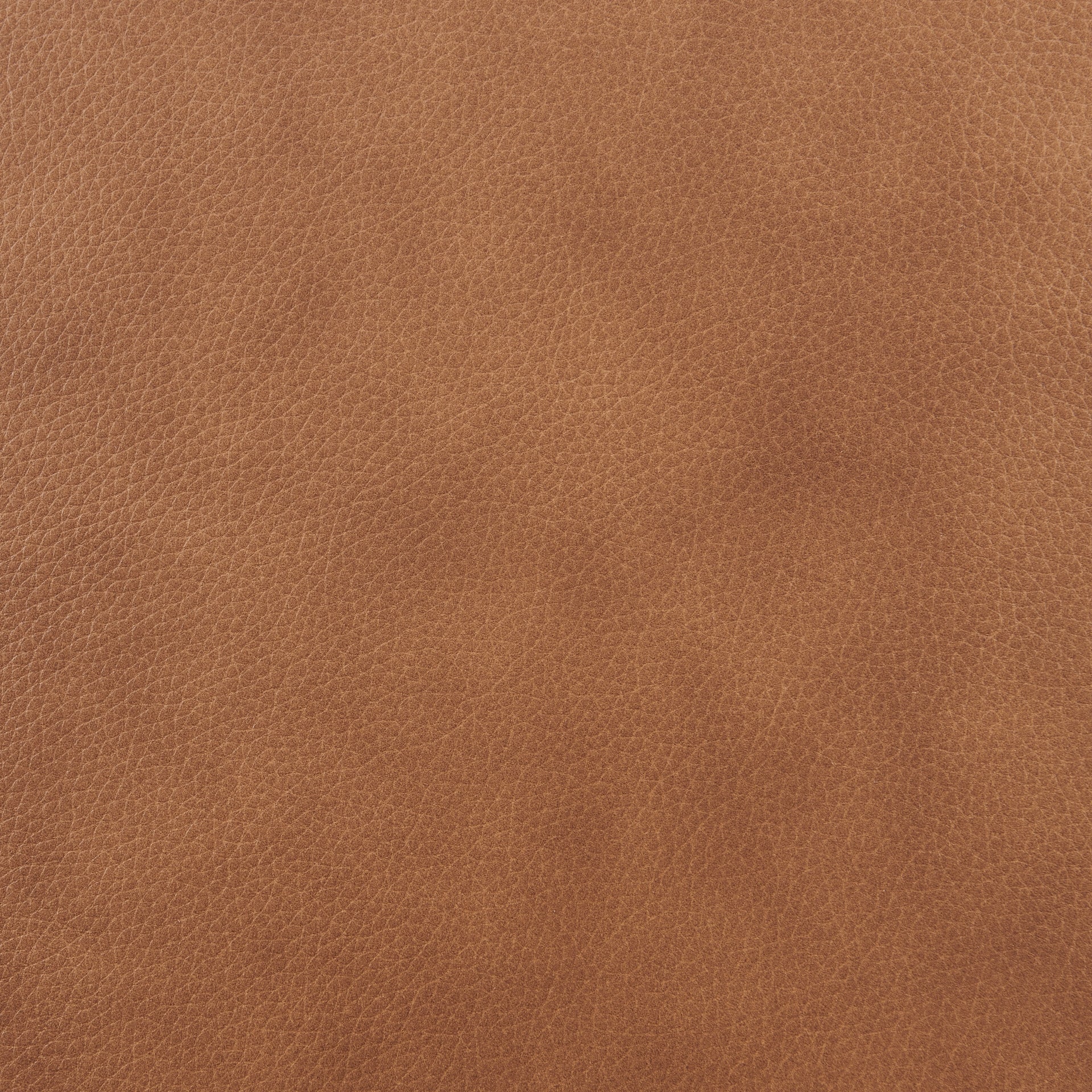 Cordelia Top Grain Leather Accent Arm Chair - What A Room