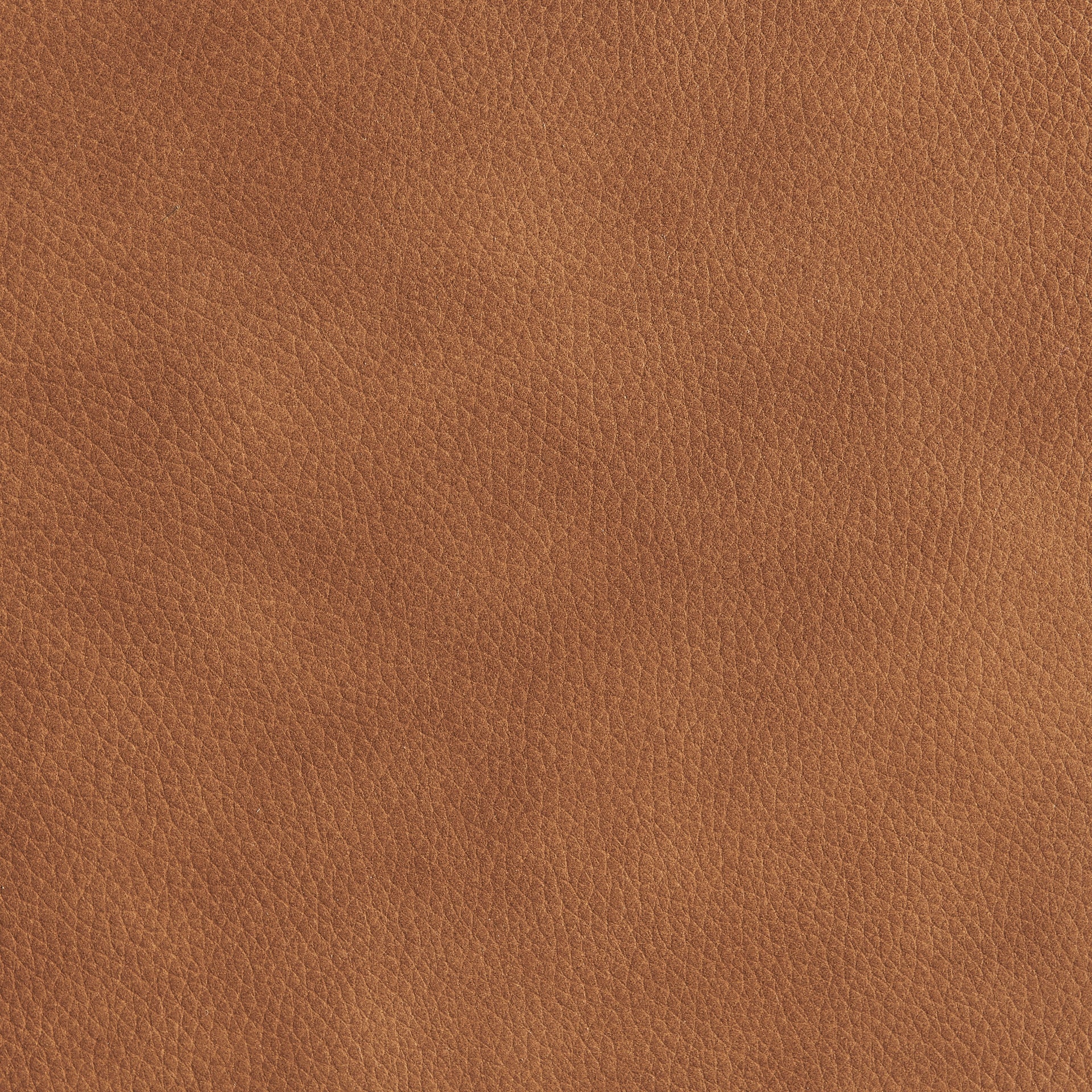 Grandora Top Grain Leather Accent Arm Chair - What A Room