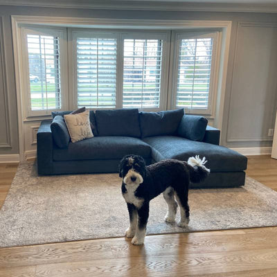 Daphne Chaise Sectional