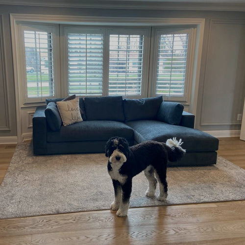 Daphne Chaise Sectional
