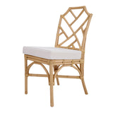 Kara Rattan Dining Side Chair (Set of 2) - What A Room