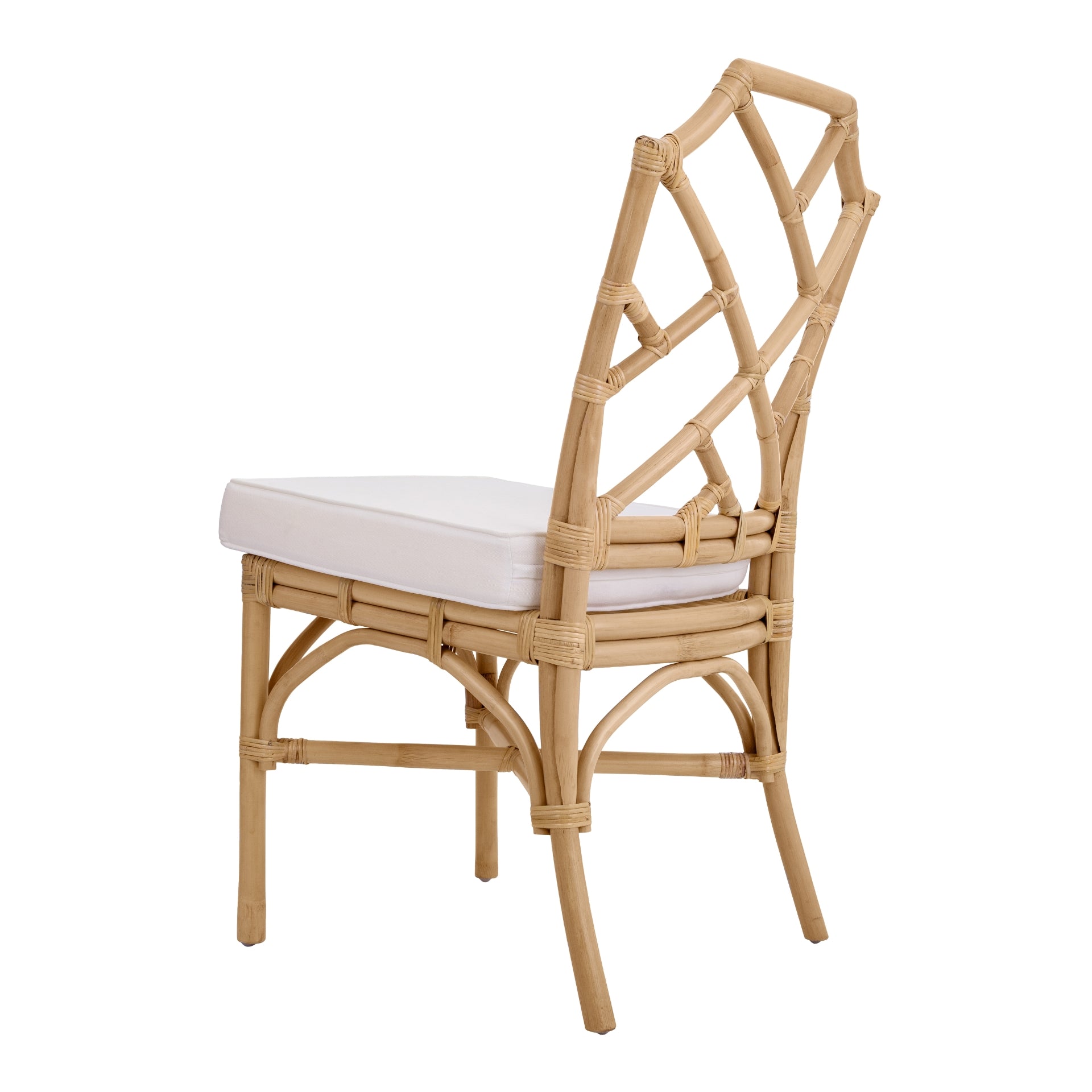 Kara Rattan Dining Side Chair (Set of 2) - What A Room