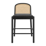 Donna   Counter Stool (Set of 2) - What A Room