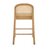 Donna   Counter Stool (Set of 2) - What A Room