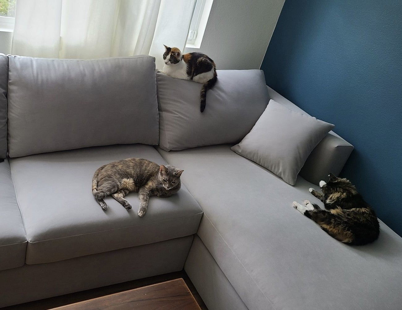 3 Cats relaxing on Pet Friendly Sectional Couch
