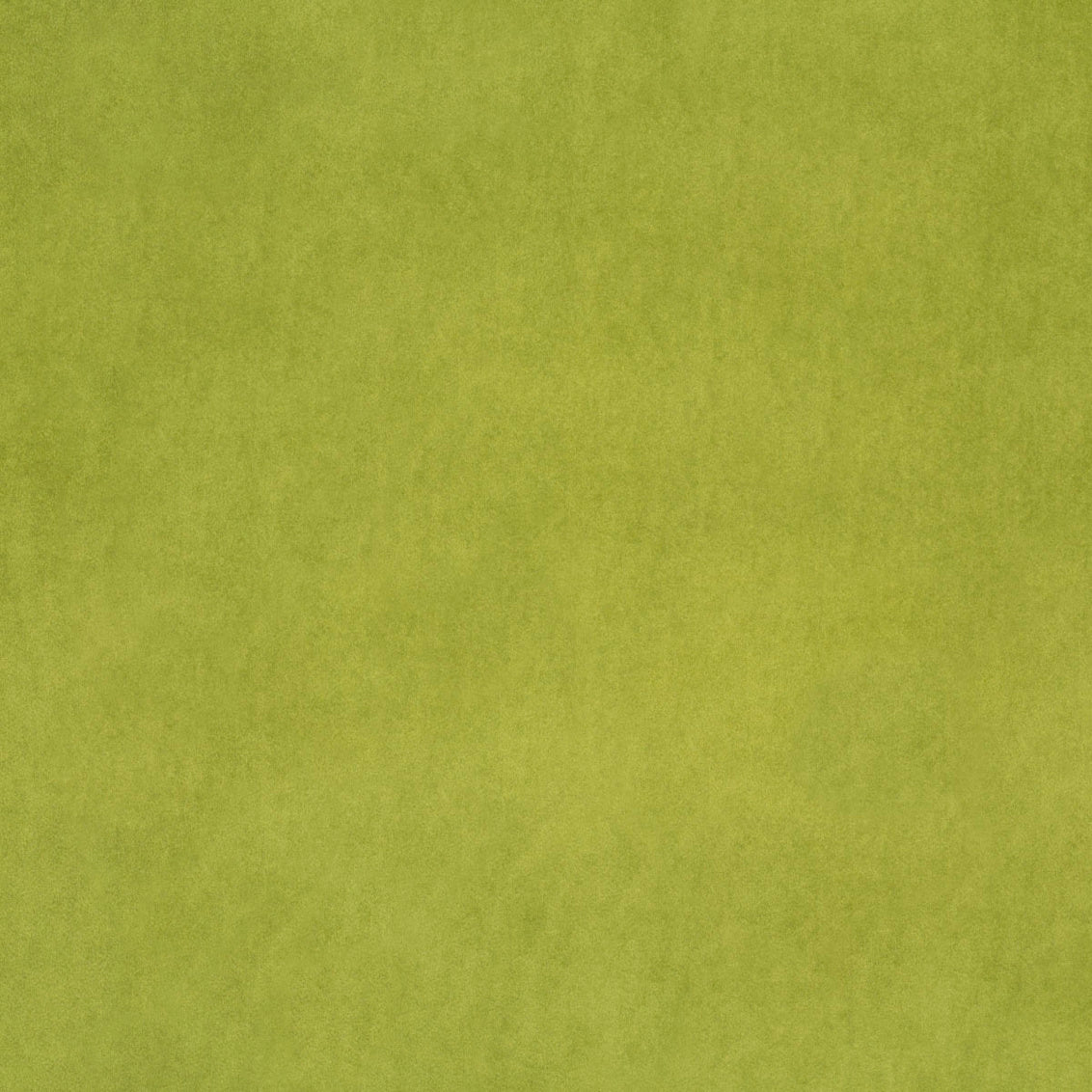 Marquise Leaf - What A Room