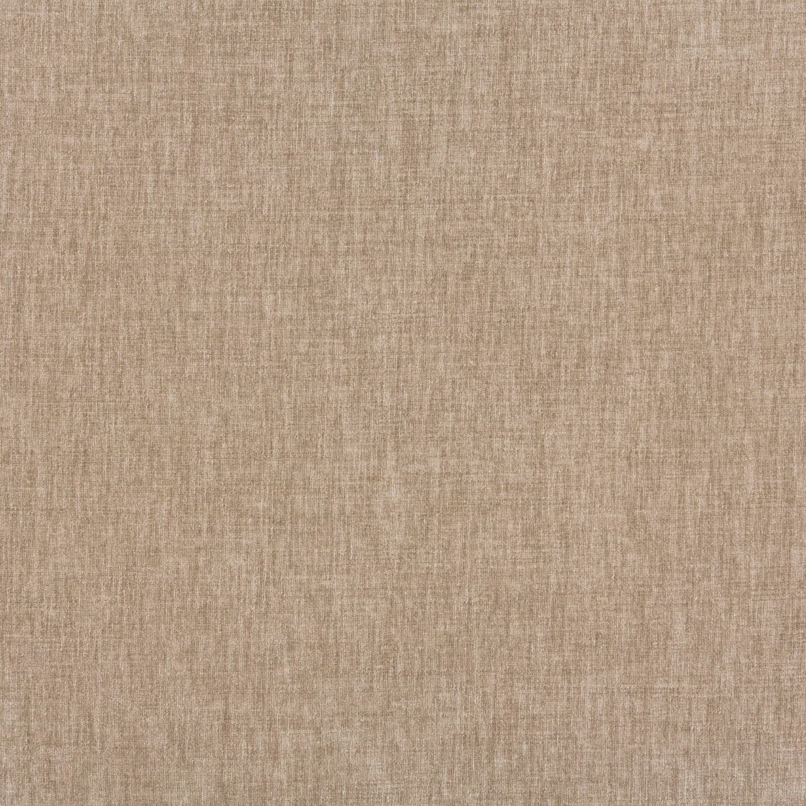 Contessa Khaki - What A Room